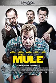 Kurye / The Mule izle